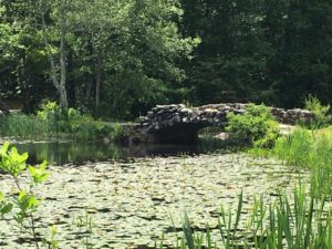 Stone bridge across a lily pond